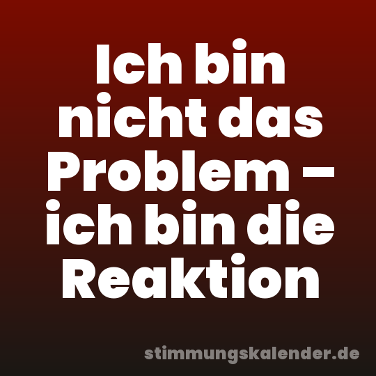 Ich bin nicht das Problem – ich bin die Reaktion
