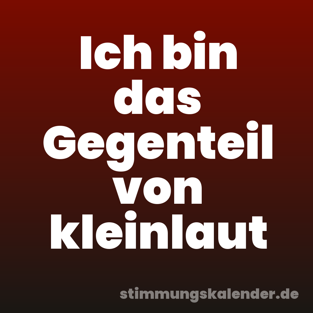 Ich bin das Gegenteil von kleinlaut
