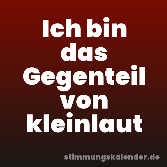Ich bin das Gegenteil von kleinlaut
