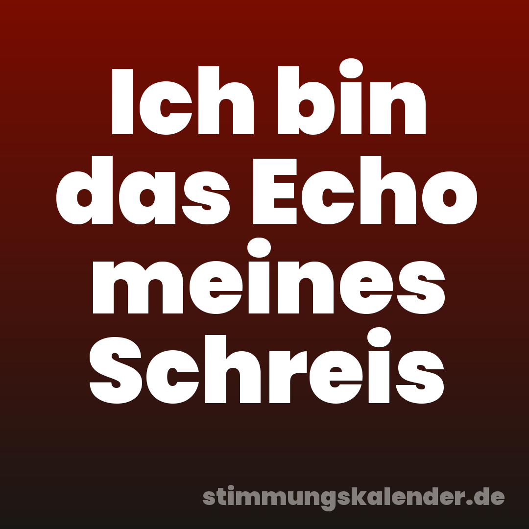 Ich bin das Echo meines Schreis
