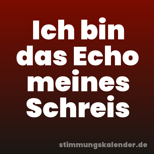 Ich bin das Echo meines Schreis