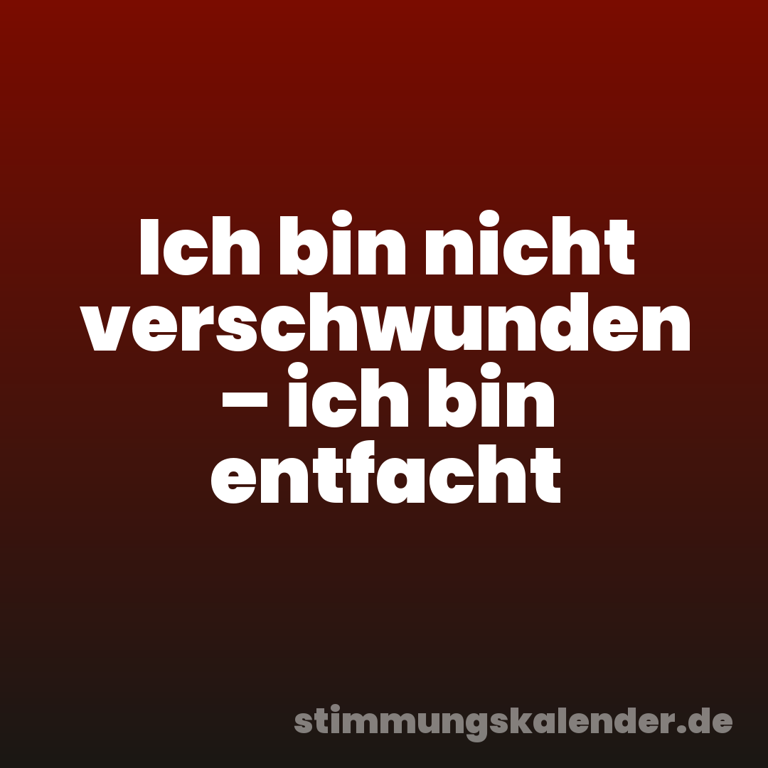 Ich bin nicht verschwunden – ich bin entfacht