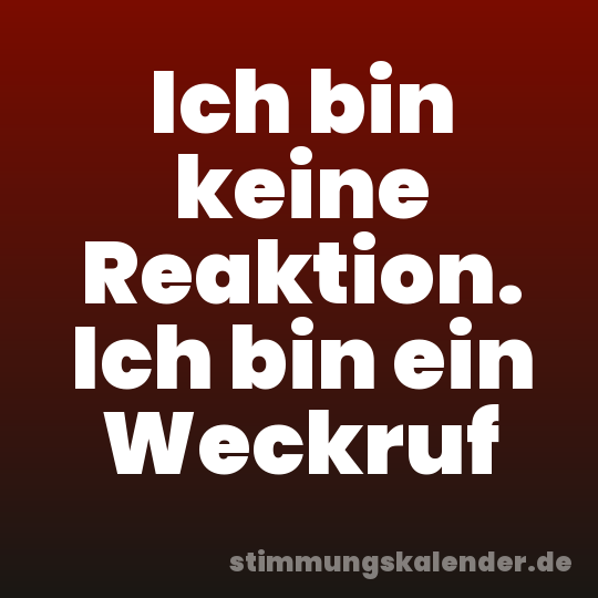 Ich bin keine Reaktion. Ich bin ein Weckruf