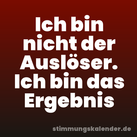 Ich bin nicht der Auslöser. Ich bin das Ergebnis