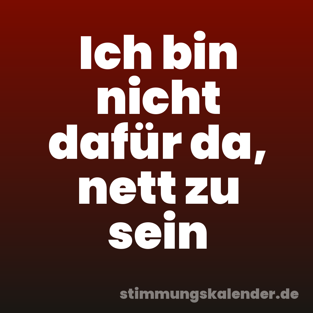 Ich bin nicht dafür da, nett zu sein