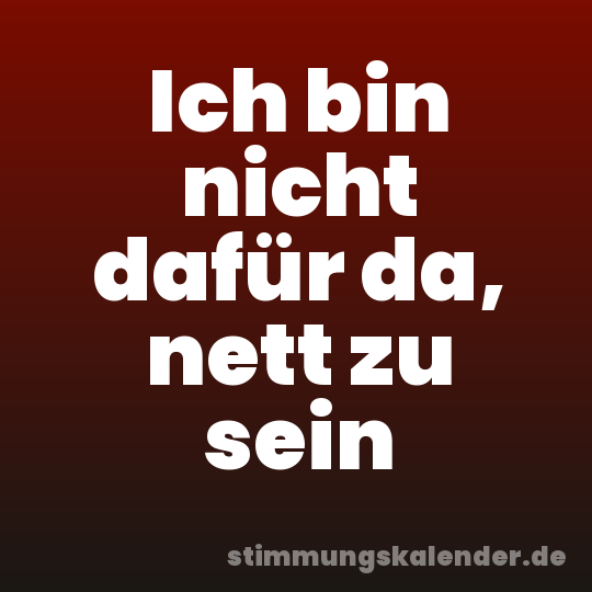 Ich bin nicht dafür da, nett zu sein