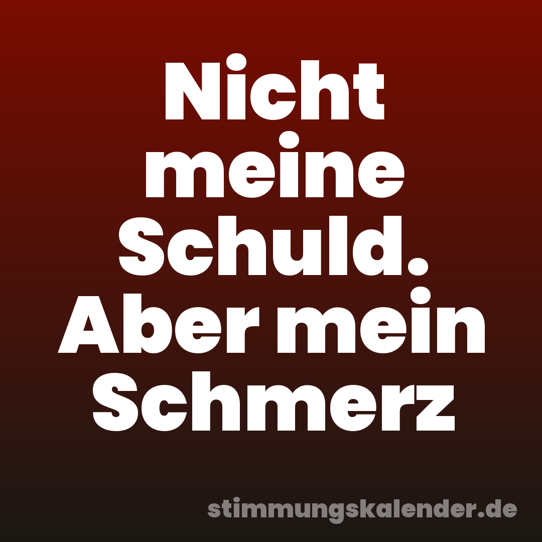 Nicht meine Schuld. Aber mein Schmerz