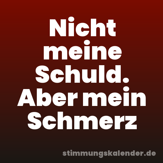 Nicht meine Schuld. Aber mein Schmerz