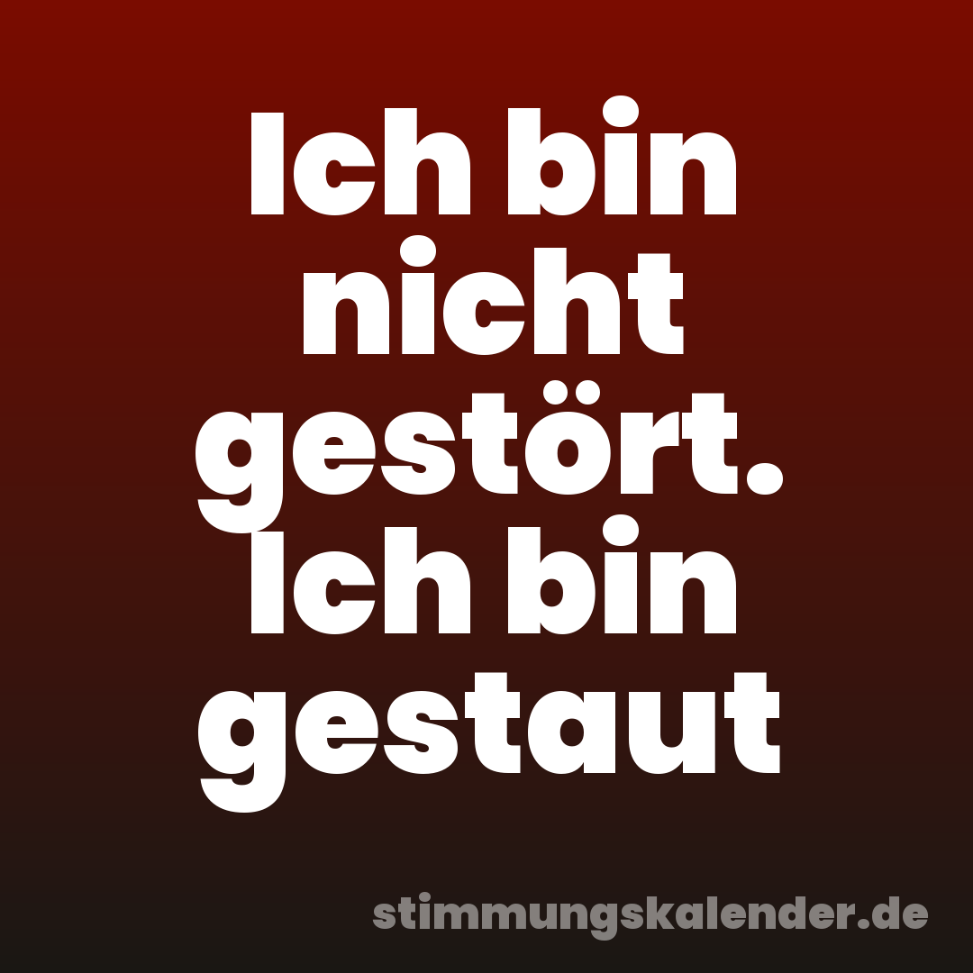 Ich bin nicht gestört. Ich bin gestaut