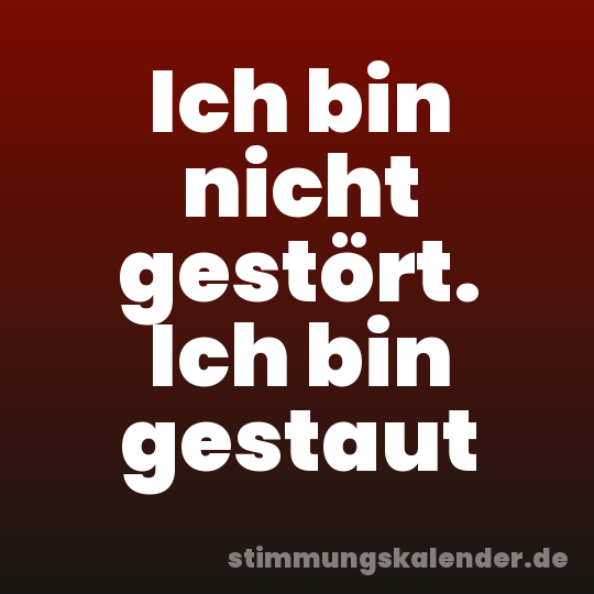 Ich bin nicht gestört. Ich bin gestaut