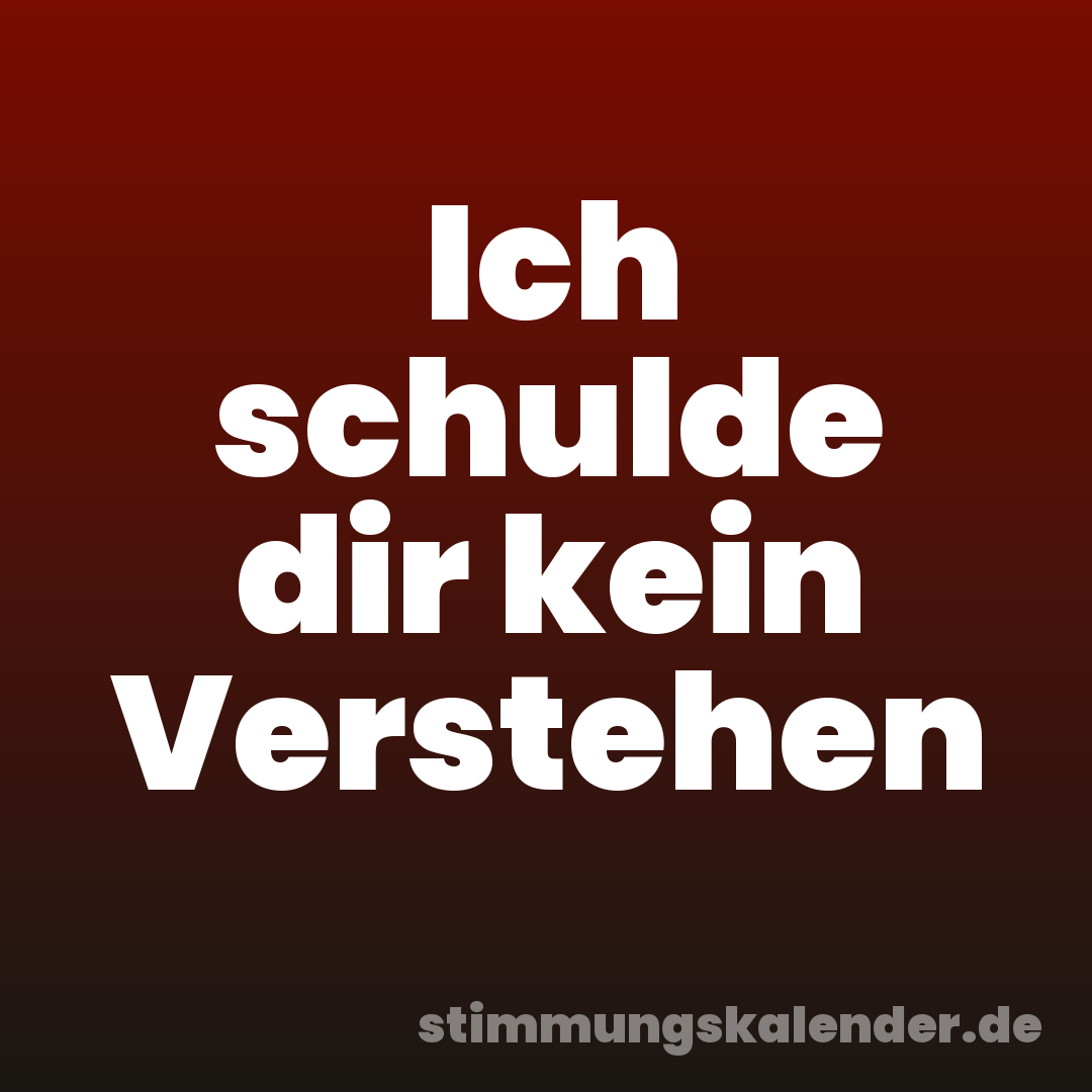Ich schulde dir kein Verstehen