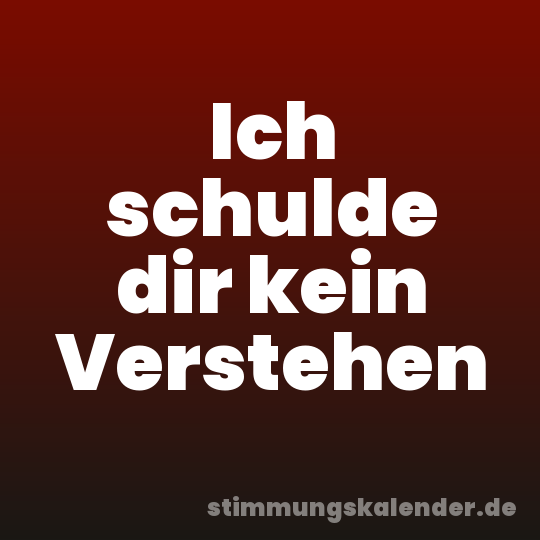 Ich schulde dir kein Verstehen