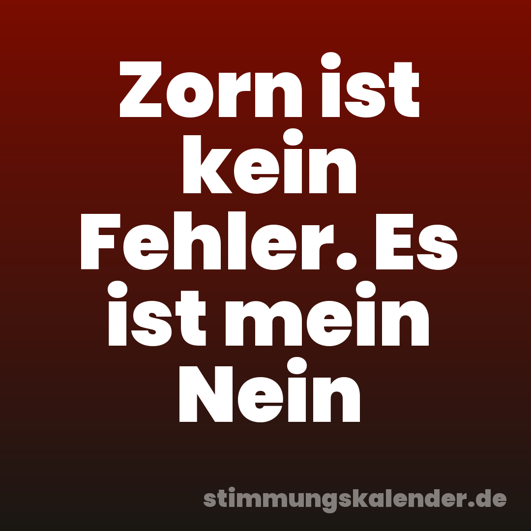 Zorn ist kein Fehler. Es ist mein Nein