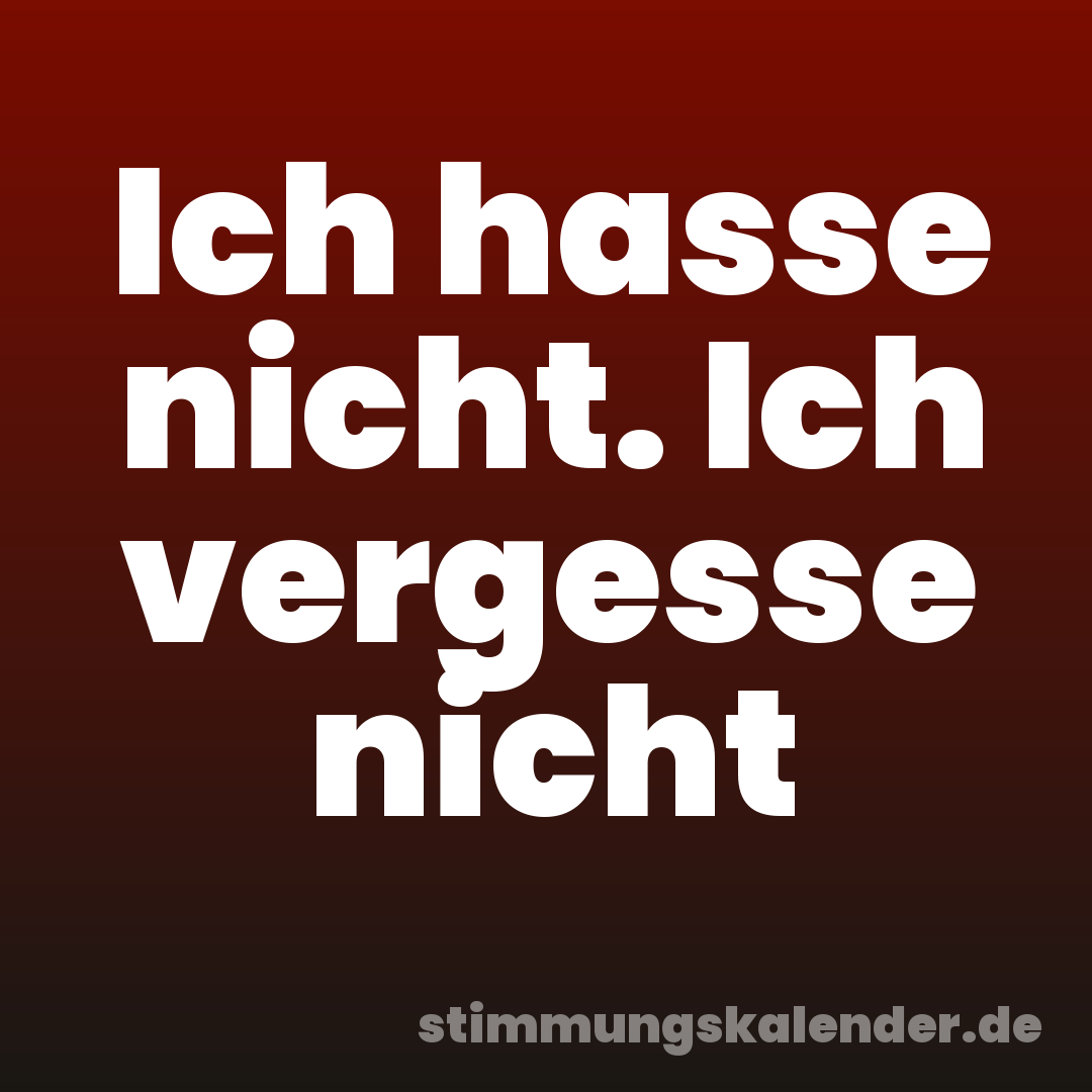 Ich hasse nicht. Ich vergesse nicht