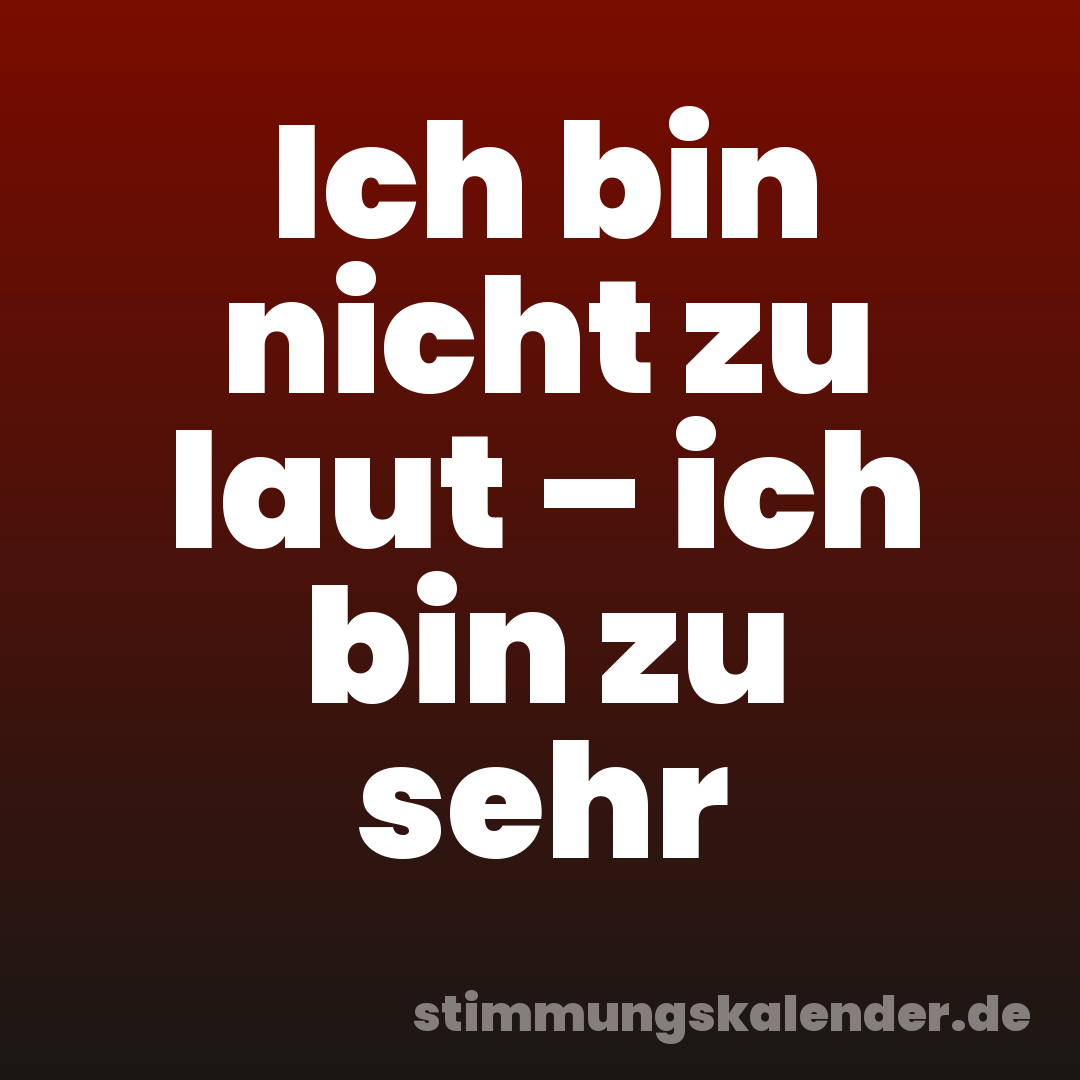 Ich bin nicht zu laut – ich bin zu sehr