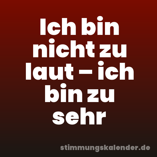 Ich bin nicht zu laut – ich bin zu sehr