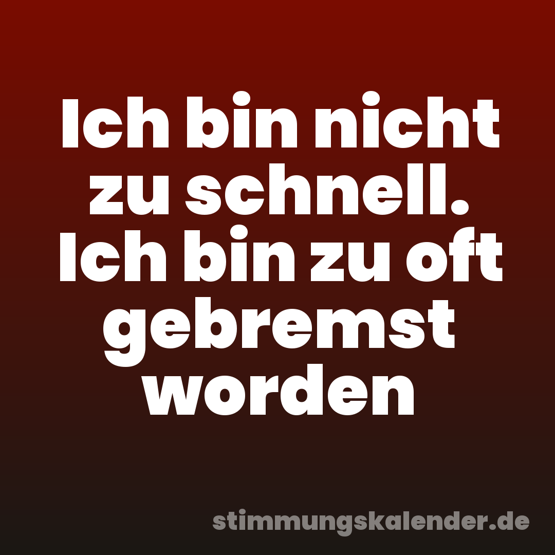 Ich bin nicht zu schnell. Ich bin zu oft gebremst worden