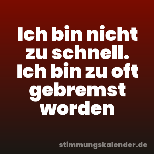 Ich bin nicht zu schnell. Ich bin zu oft gebremst worden