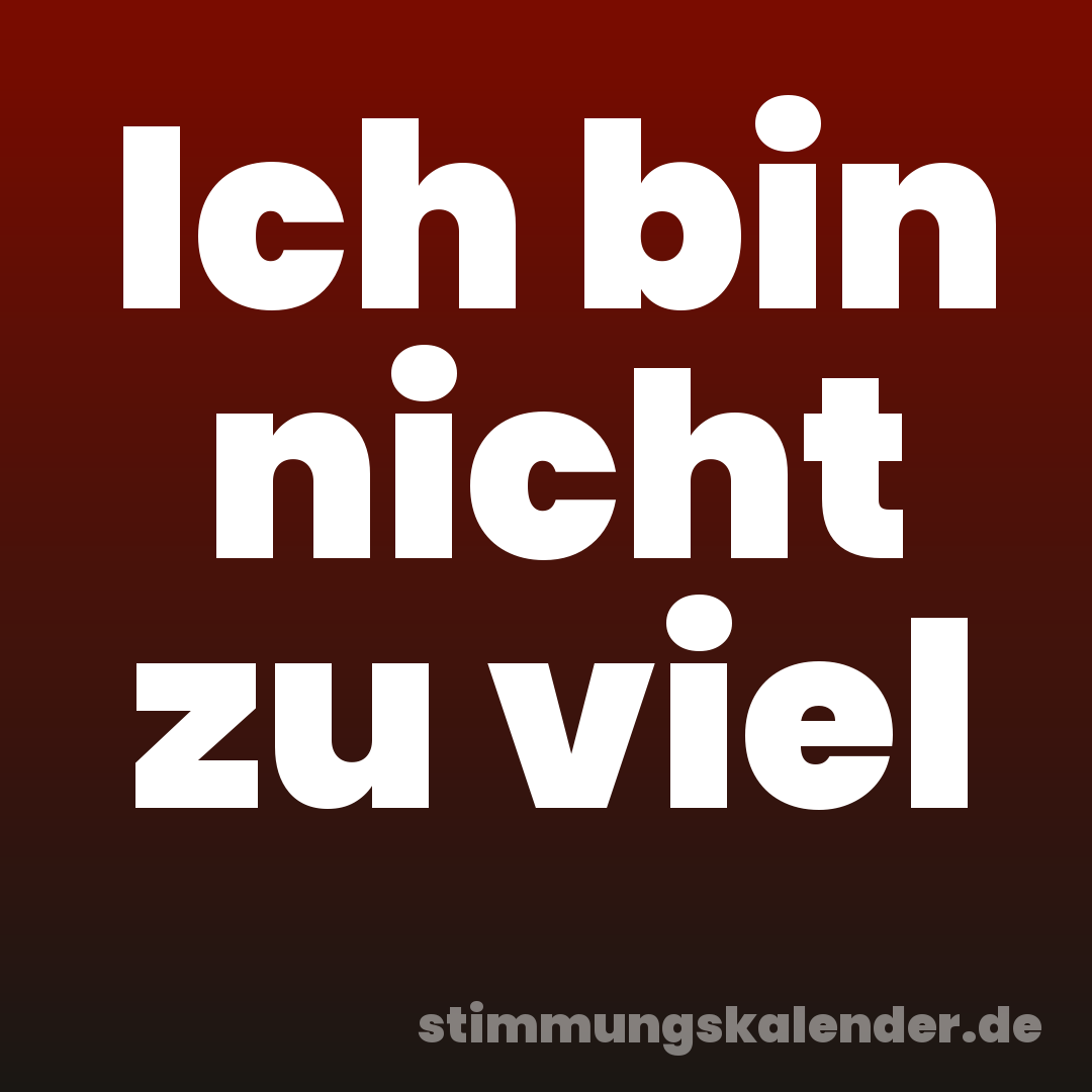Ich bin nicht zu viel