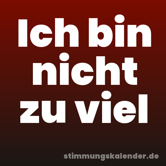 Ich bin nicht zu viel