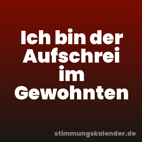 Ich bin der Aufschrei im Gewohnten