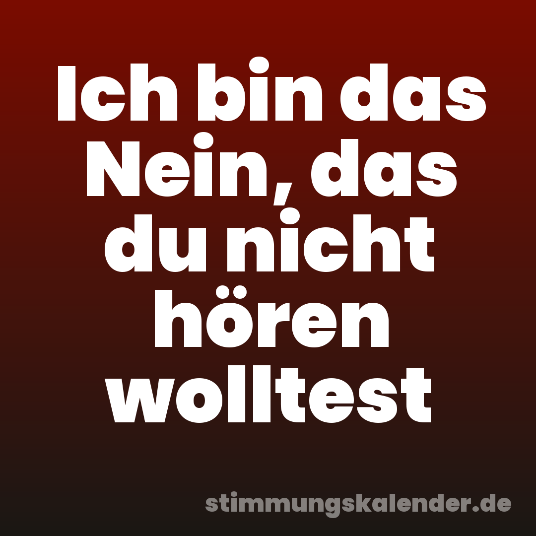 Ich bin das Nein, das du nicht hören wolltest