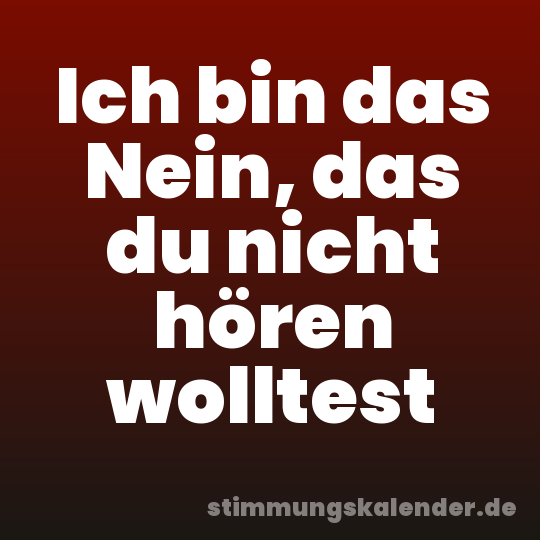 Ich bin das Nein, das du nicht hören wolltest