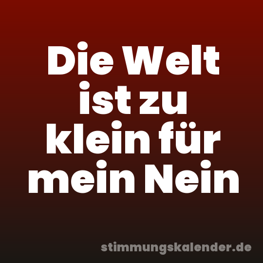 Die Welt ist zu klein für mein Nein