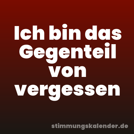 Ich bin das Gegenteil von vergessen