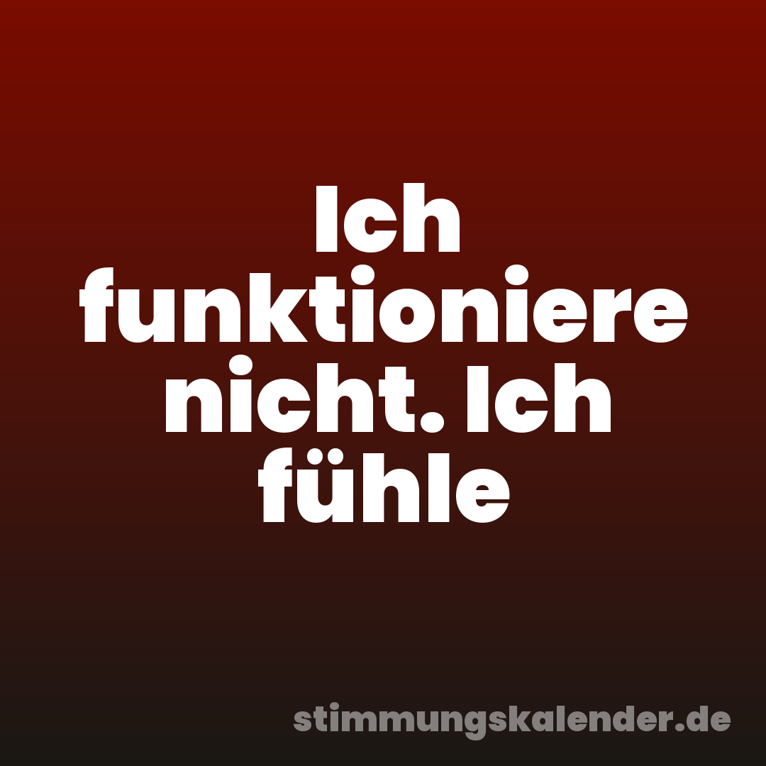 Ich funktioniere nicht. Ich fühle