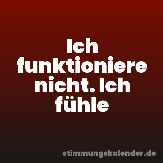 Ich funktioniere nicht. Ich fühle
