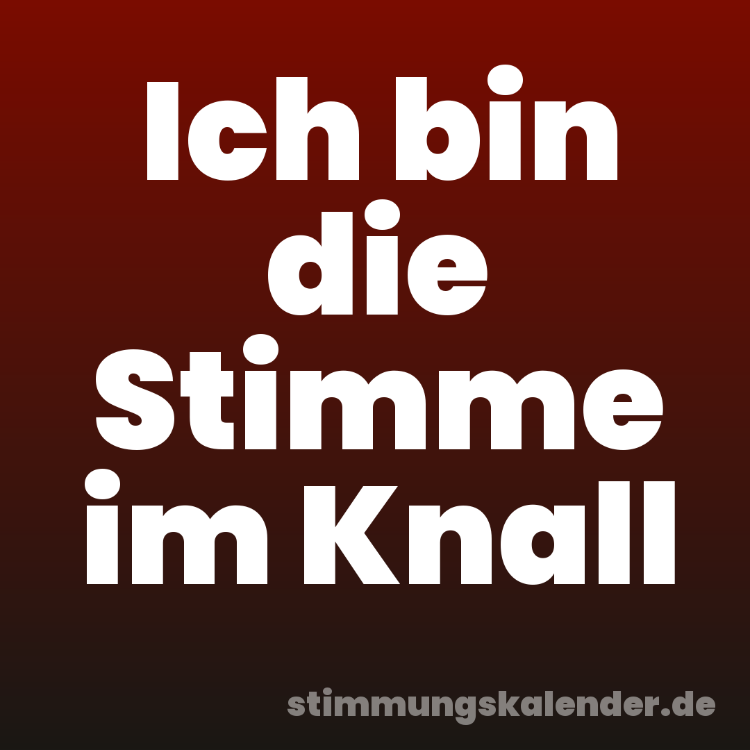 Ich bin die Stimme im Knall