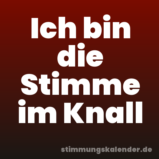 Ich bin die Stimme im Knall