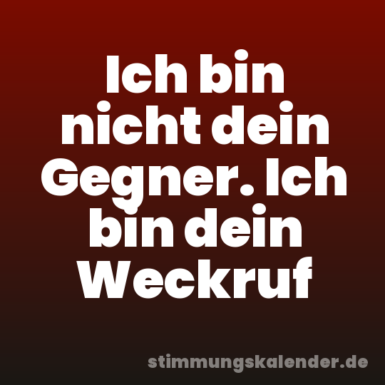Ich bin nicht dein Gegner. Ich bin dein Weckruf
