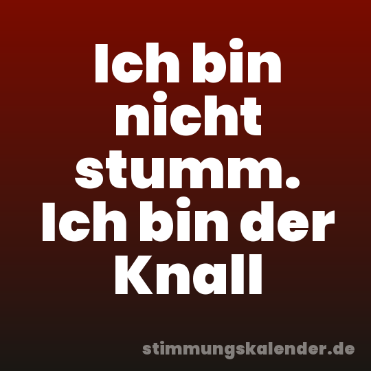 Ich bin nicht stumm. Ich bin der Knall