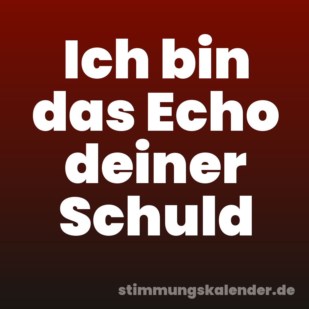 Ich bin das Echo deiner Schuld