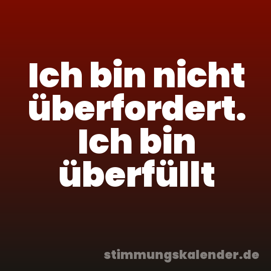 Ich bin nicht überfordert. Ich bin überfüllt