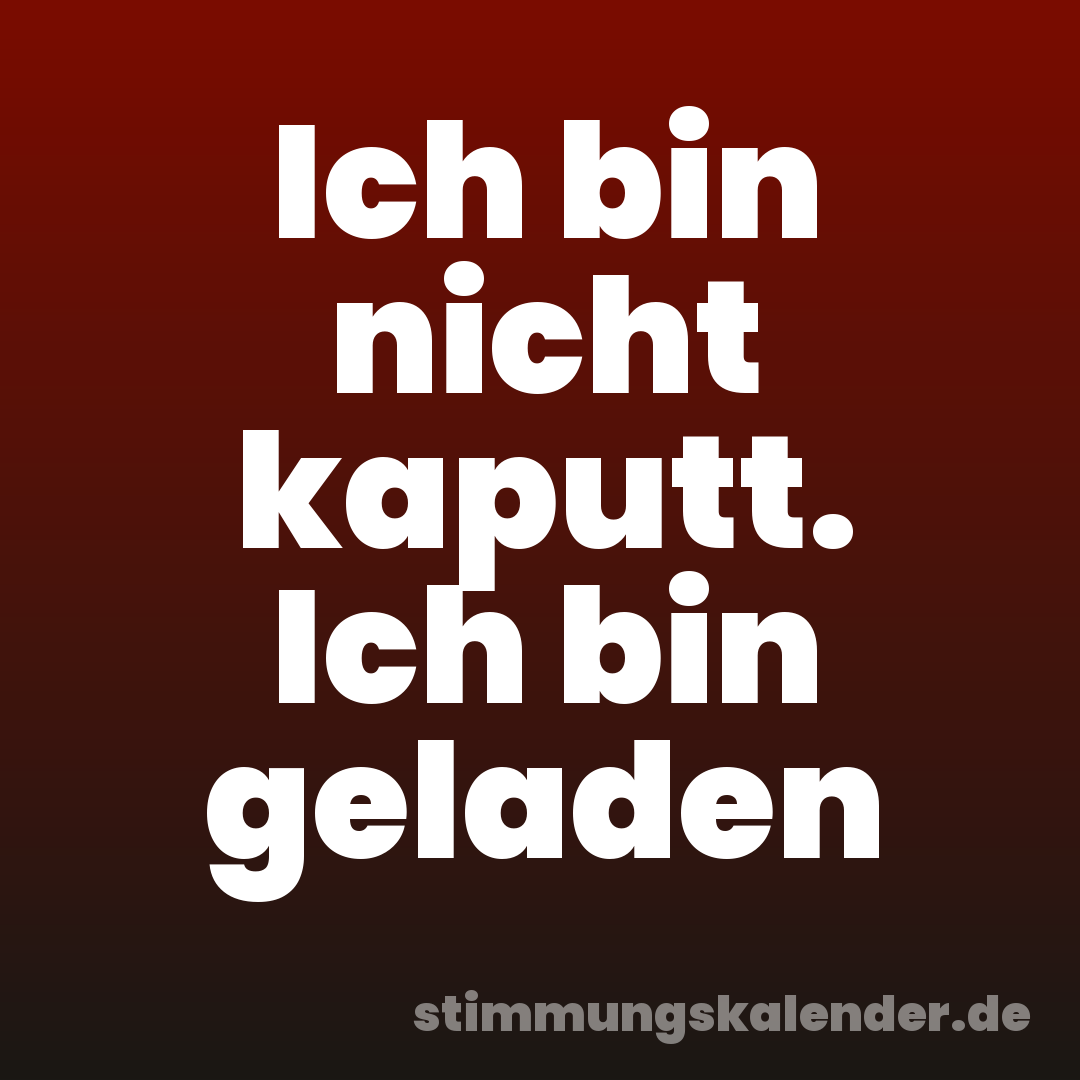 Ich bin nicht kaputt. Ich bin geladen