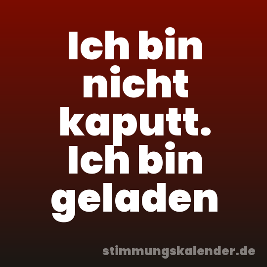 Ich bin nicht kaputt. Ich bin geladen