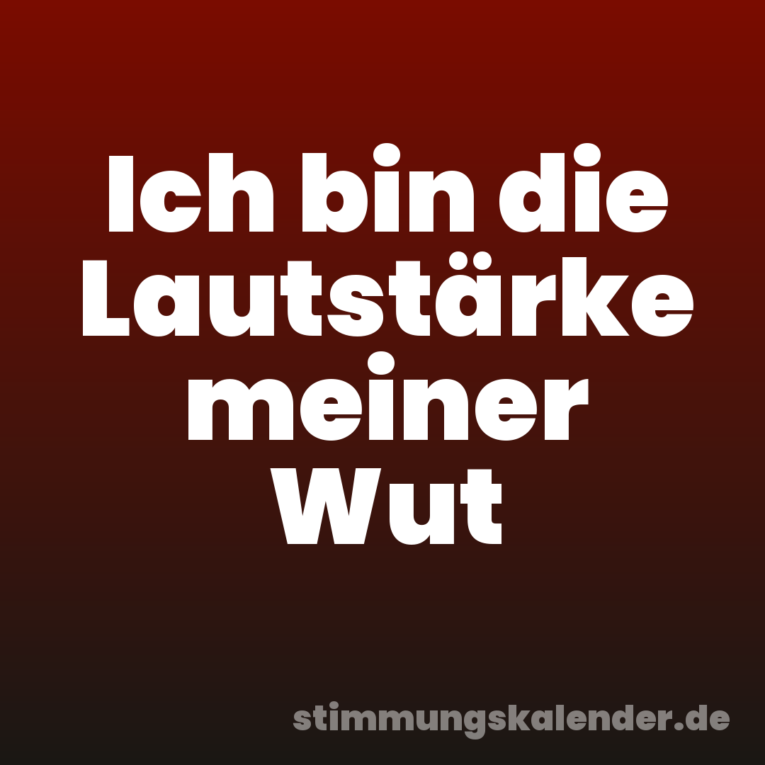 Ich bin die Lautstärke meiner Wut
