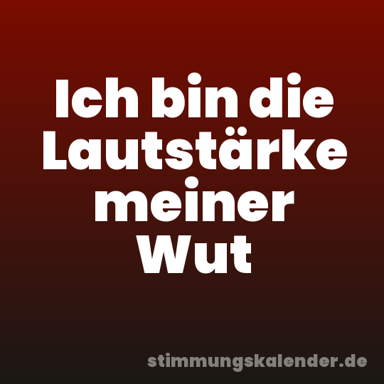 Ich bin die Lautstärke meiner Wut