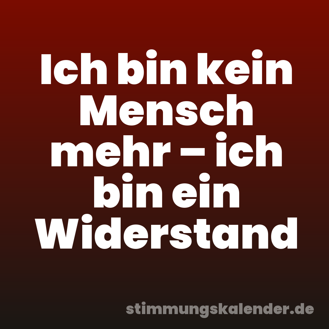 Ich bin kein Mensch mehr – ich bin ein Widerstand