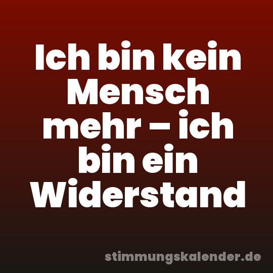 Ich bin kein Mensch mehr – ich bin ein Widerstand