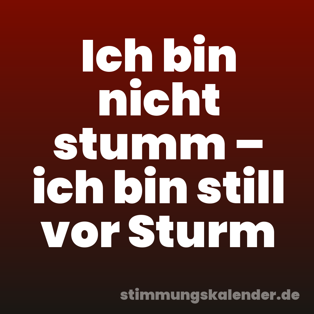 Ich bin nicht stumm – ich bin still vor Sturm