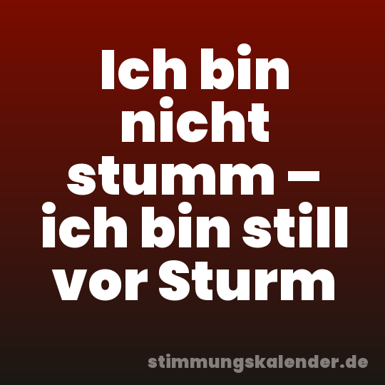 Ich bin nicht stumm – ich bin still vor Sturm