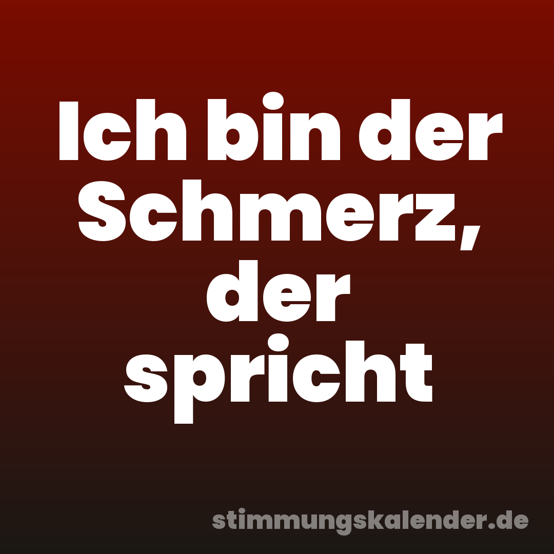 Ich bin der Schmerz, der spricht