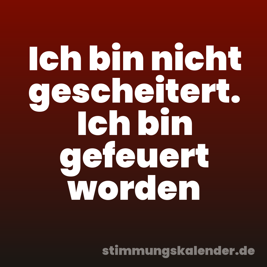 Ich bin nicht gescheitert. Ich bin gefeuert worden