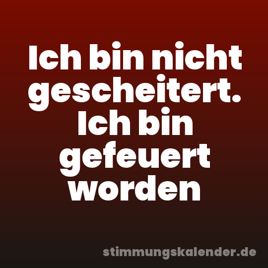 Ich bin nicht gescheitert. Ich bin gefeuert worden