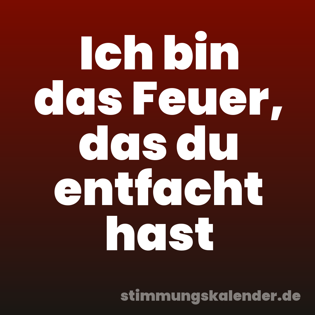 Ich bin das Feuer, das du entfacht hast