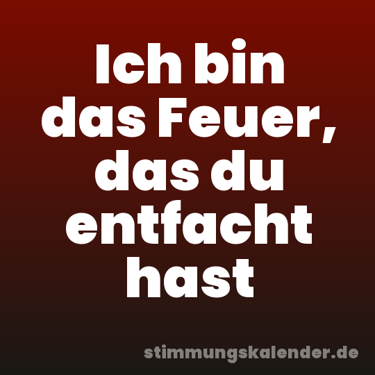 Ich bin das Feuer, das du entfacht hast